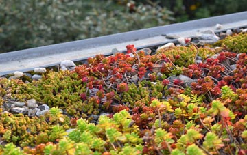 the cost of West Southbourne green roof installation