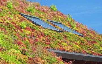 West Southbourne living roof systems