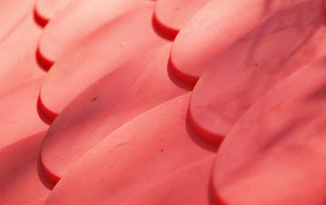 West Southbourne plastic roof costs