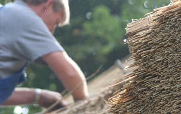 professional West Southbourne thatchers